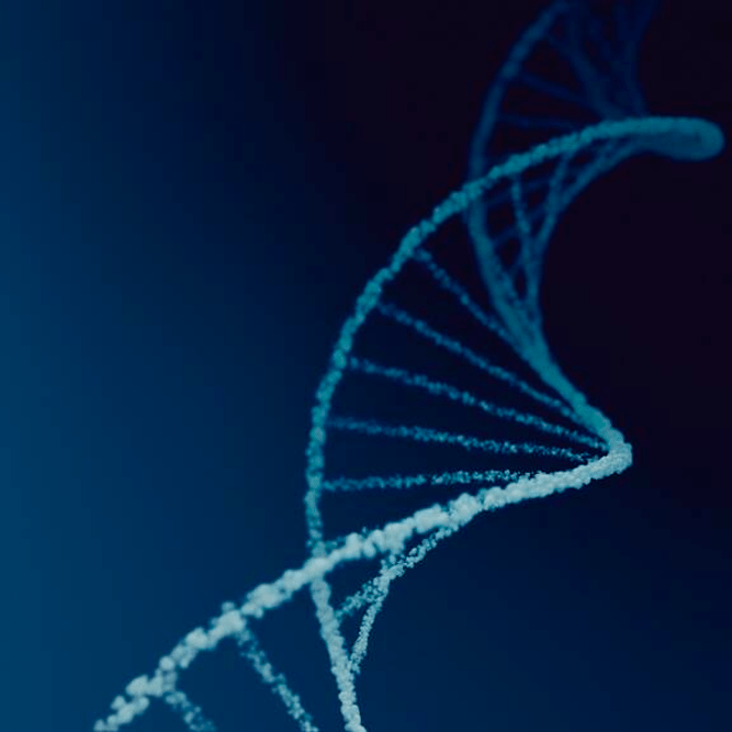 filamento-dna2